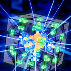 大雁孤鸿pro 详情页 EN 04